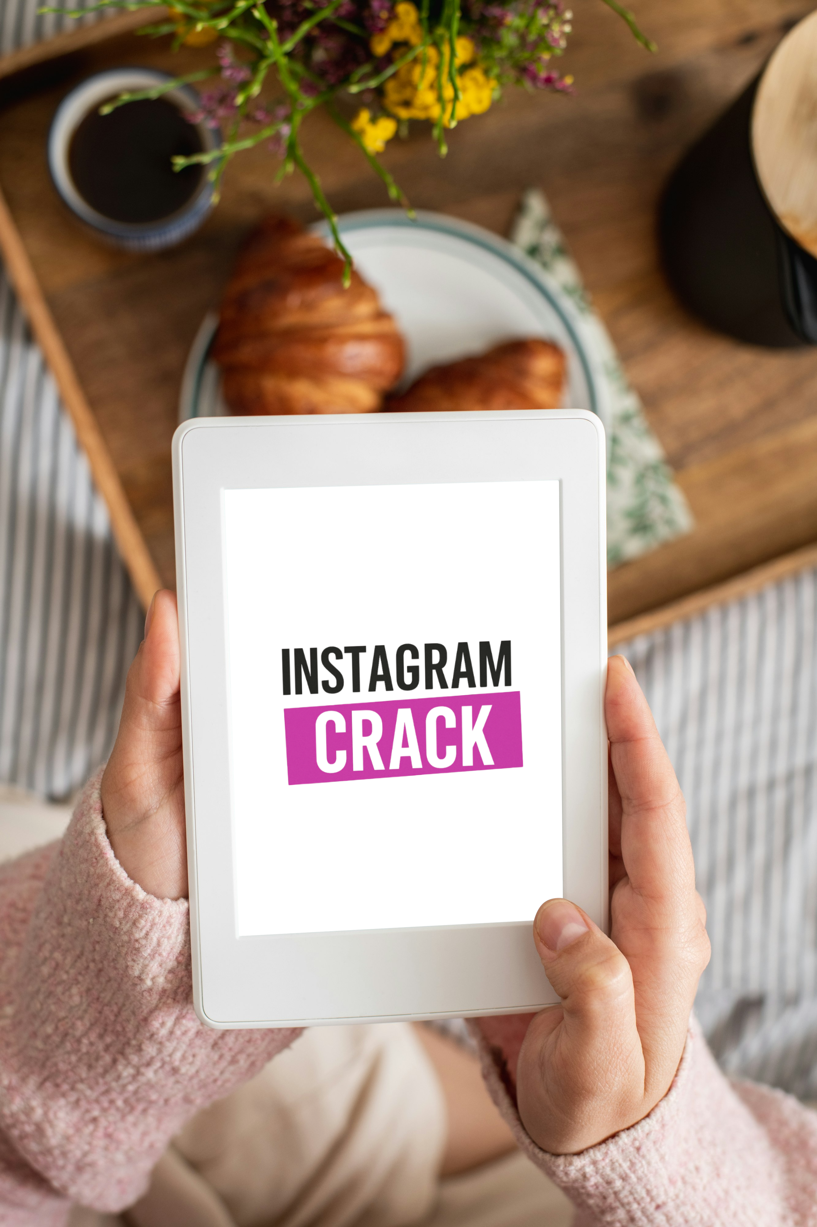 Guía PLR INSTAGRAM CRACK